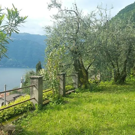 Holiday home Gli Ulivi Di *