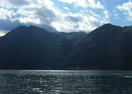 Gli Ulivi Di *