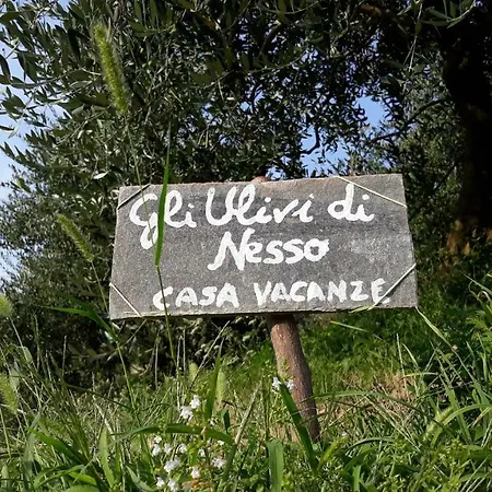 Gli Ulivi Di Holiday home